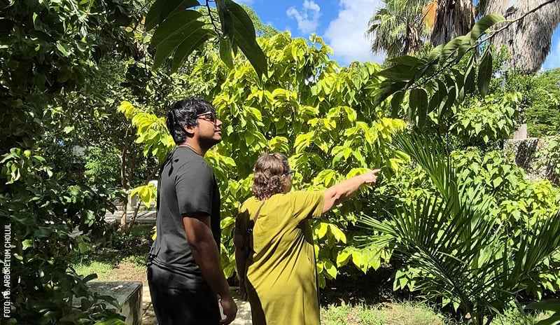 Arboretum-Cholul-by-FB-Arboretum-Cholul-1