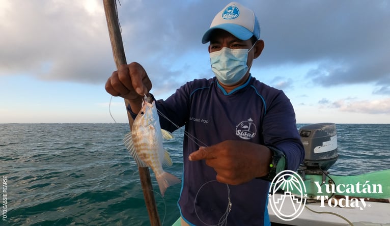 Pescador-en-Sisal-pescando-by-Cassie-Pearse1-2