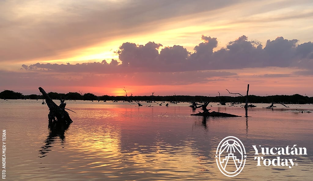 Sisal-mangrove-sunset-atardecer-manglar-by-Andrea-Mier-y-Teran-3