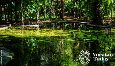 Jardin-Botanico-Regional-Roger-Orellana-lago-by-Diana-Villordo