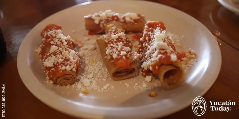 Plate of mini Codzitos, Yucatecan snacks also known as Tacos made of nothing.