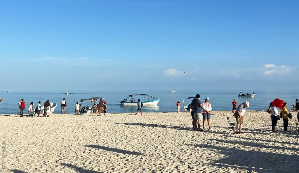 2411 Sisal Lanchas by Sara Alba slogo