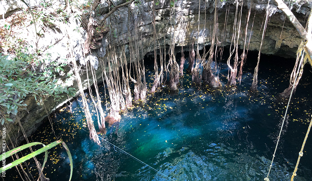 <span id="hs_cos_wrapper_name" class="hs_cos_wrapper hs_cos_wrapper_meta_field hs_cos_wrapper_type_text" style="" data-hs-cos-general-type="meta_field" data-hs-cos-type="text" >San Manuel km 11: A Destination for Explorers</span>