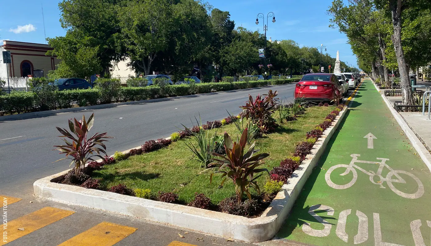 The cycle path on  Paseo de Montejo, Mérida. Travel tips in Yucatán.