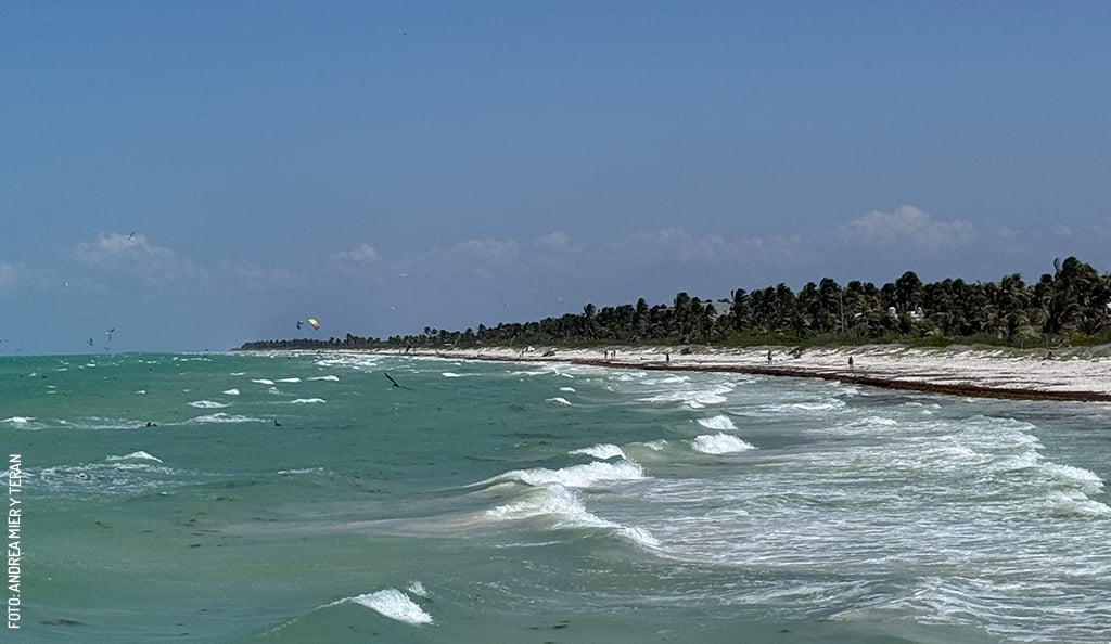 El-Cuyo-playa-mar-by-Andrea-Mier-y-Teransin-logo