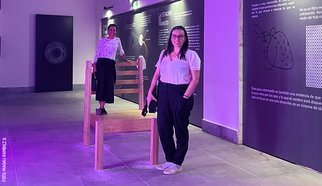 Illusions: Perception Games at the Museum of Light