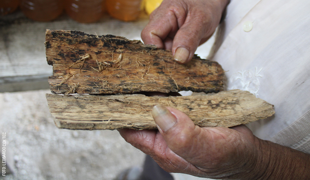 Ceremonia del balche en pascua en dzitas