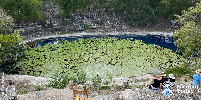 Cenote Xlacah en la zona arqueologicá de Dzibilchaltún