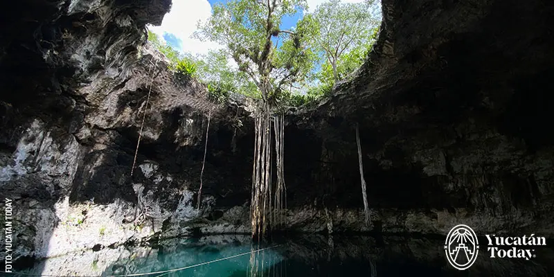 Cenote Xooch in Cenotes Santa Bárbara, Homún