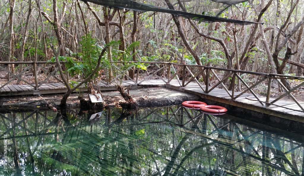 Cenotes with children: adventure and safety