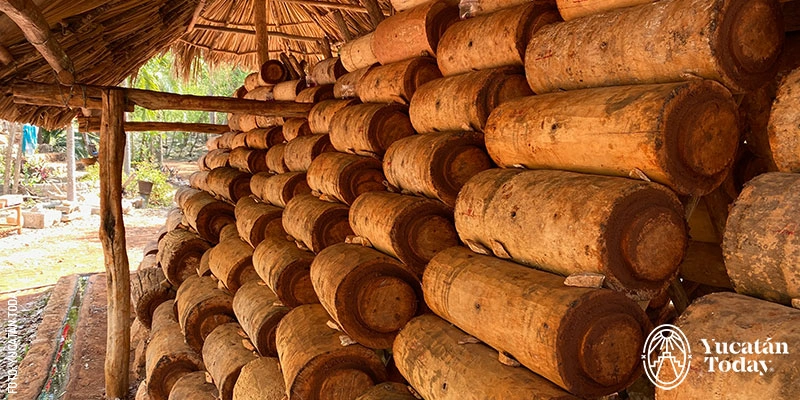 Jobones are wooden logs where Melipona stingless bees live.