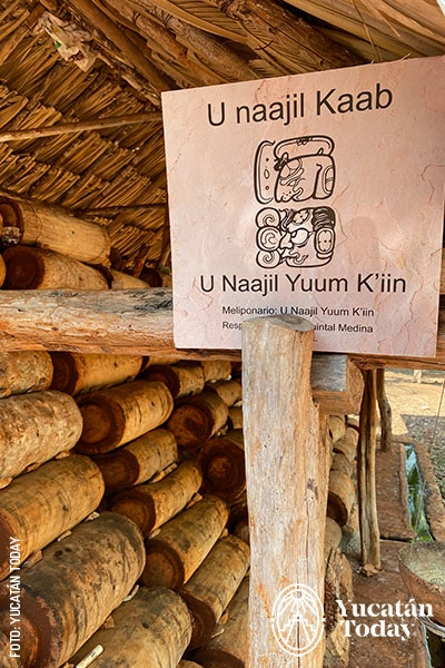 Jobones donde viven las abejas meliponas en el Meliponario U Naajil Yuum K’iin, Maní. 