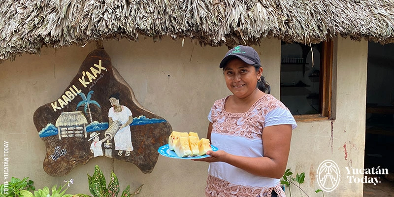 Fátima Castillo from Solar Maya Tierra Pachpakal in Maní presents her organic garden and also her Melipona bee farms with different species of stingless bees.