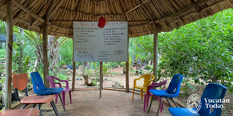 Palapa en Solar Maya Tierra Pachpakal donde Fátima y José imparten talleres infantiles sobre el cuidado de las abejas meliponas y las tradiciones antestrales mayas, Maní, Yucatán.